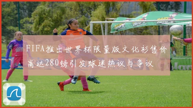 FIFA推出世界杯限量版文化衫售价高达280镑引发球迷热议与争议
