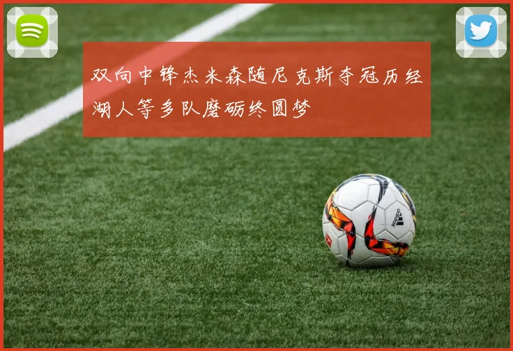 双向中锋杰米森随尼克斯夺冠历经湖人等多队磨砺终圆梦