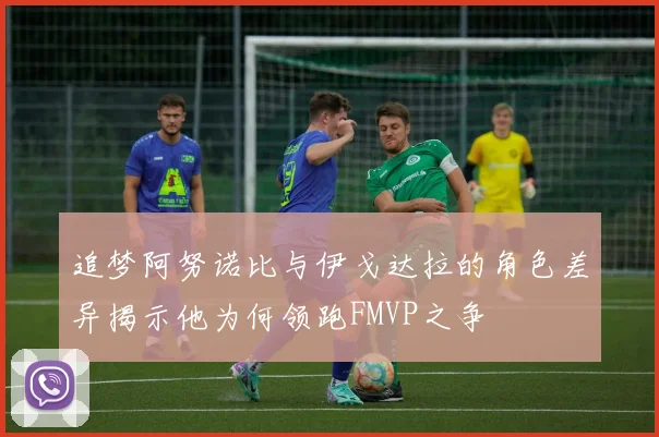 追梦阿努诺比与伊戈达拉的角色差异揭示他为何领跑FMVP之争